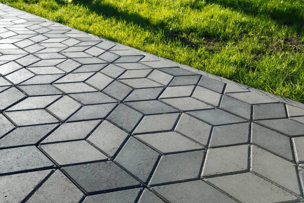 Best Driveway Paver Sealing  in Gardnerville Ranchos, NV