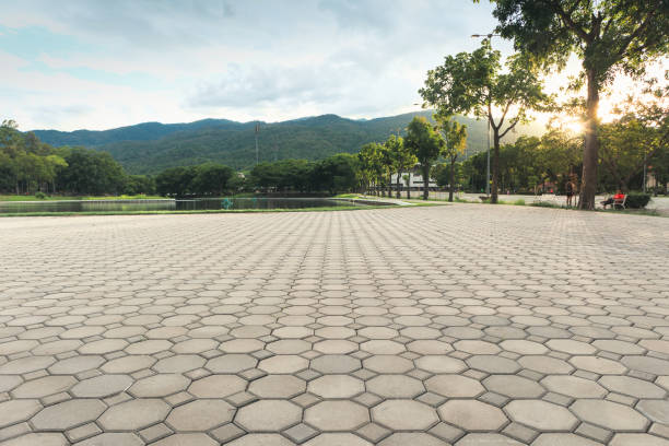 Best Residential Paver Driveway  in Gardnerville Ranchos, NV